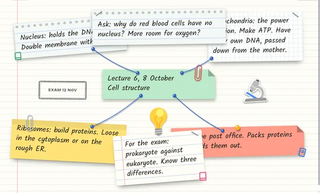 Biology notes on cell structure, each note joined to the next with a thread